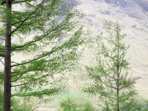 Manganis-Outlandia_Remote_Interaction