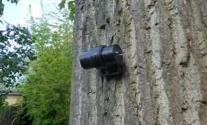 picus-tms-tree-motion-sensor-entwicklung-2012_reference