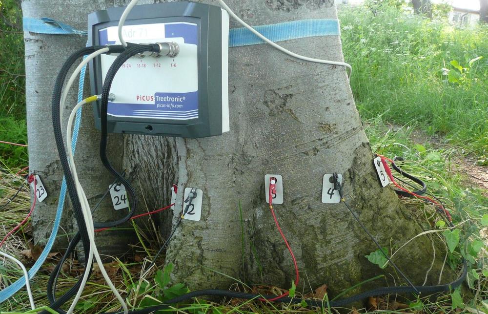 picus-treetronic-version-1-ert-markteinfuehrung-2006_reference